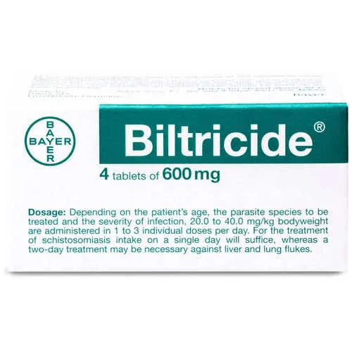 Biltricide 600 mg Tablet 4pcs