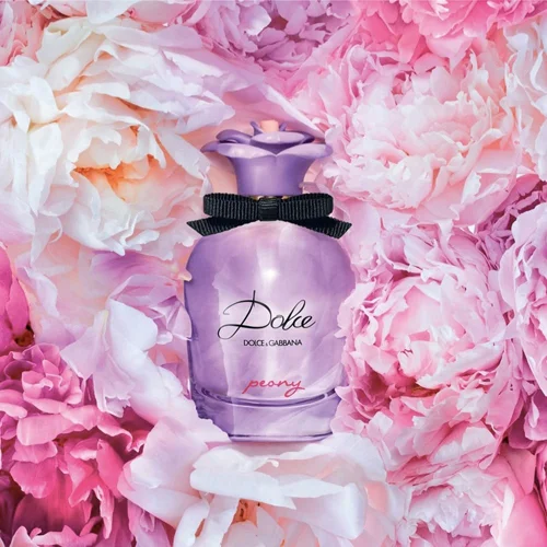 عطر دولتشي بيوني للنساء من دولتشي أند غابانا أو دو بارفيوم 75 مل - الصورة 3