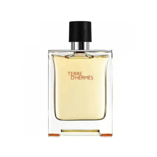 Hermes Terre Eau de Toilette for men 100 ml