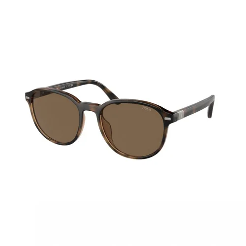 Polo Ralph Lauren Brown Sunglasses Men PH4207U
