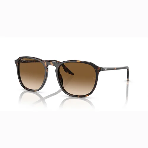 Ray-Ban Sunglasses brown Unisex RB2203 - Image 4